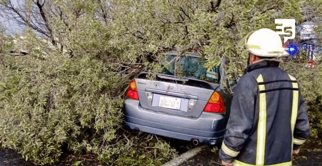 Árbol cae sobre automóvil por endiablados vientos, en el bulevar Santa Catarina