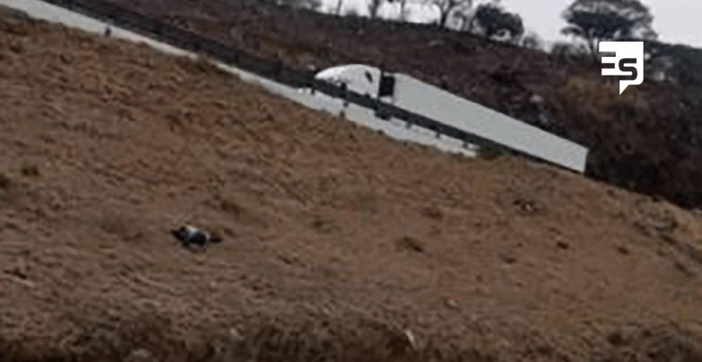 Arrojan en prolongado desnivel a anciana para asesinarla; se salvó