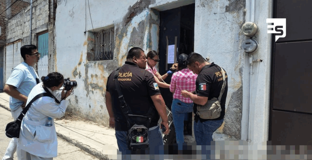 Realizan cateo por presunto maltrato animal; de 5 a 10 denuncias cada semana por este tema