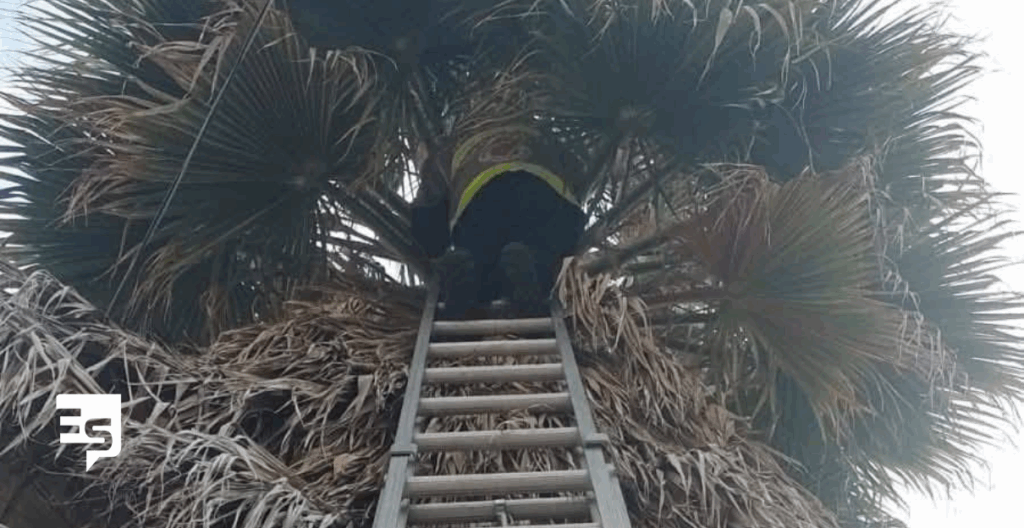 VALEROSA ACCION DE BOMBEROS Y PRECCIÓN CIVIL MUNICIPAL DE PACHUCA