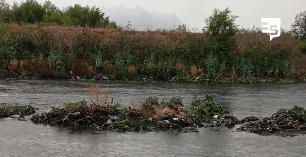 Cadáver desnudo en el río Tula, atorado en la colonia 16 de Enero