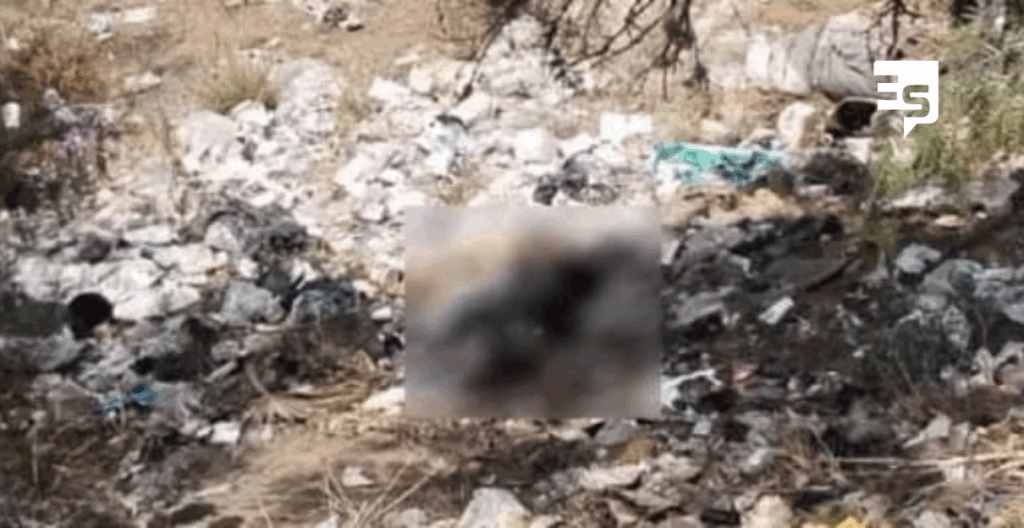 basurero clandestino es utilizado opara dejar fiambres en El Alamo