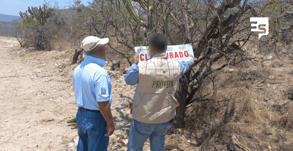 Dañan Reserva de la Biosfera Barranca de Metztitlán; Profepa clausuró obras y actividades