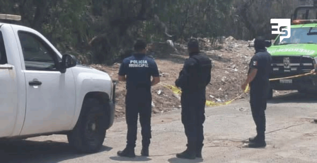 Hallan cabezas de puerco con indicios de rituales en San Guillermo