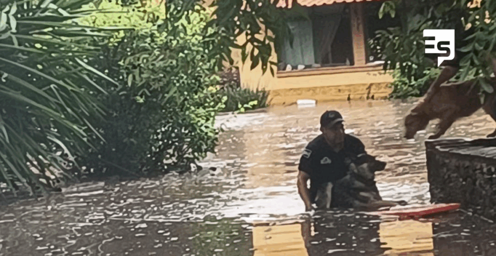 Rescatan a hombre y tres mascotas por inundación de su casa