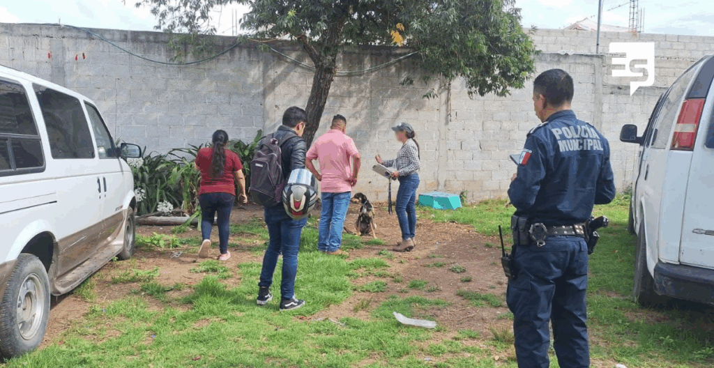 ATENCIÓN A DENUNCIA CIUDADANA SOBRE MALTRATO ANIMAL EN TULANCINGO