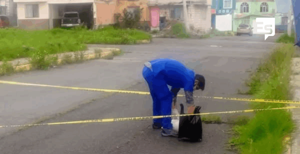 Denuncian envenenamiento masivo de perritos en El Huixmi